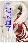 问鼎巅峰小说周平林慕蝶完结版