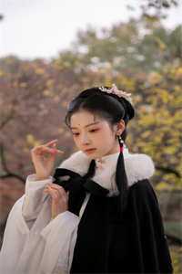 村官桃花途柳如烟陈平安小说